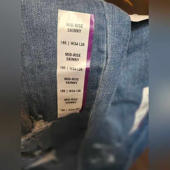 Levi - Picture 11 of 11